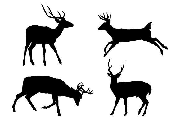 Download Deer Vector Graphic Design - Vector graphic Collection