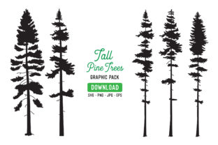 Download Tall Pine Tree Vector Graphic Bundle - Vector graphic Collection